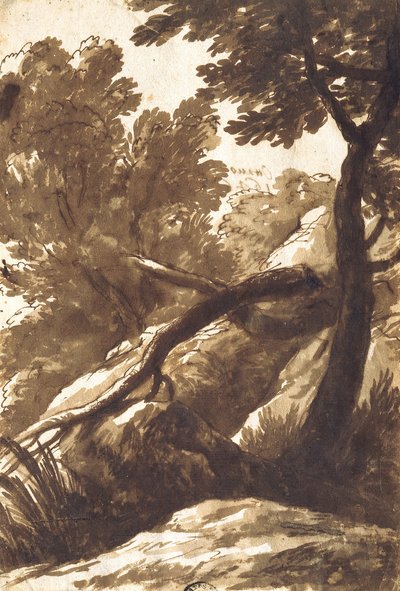 Paesaggio boscoso da Bartolomeo Torregiani